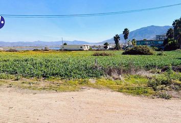 Lote de Terreno en  Cumbres De La Presa, Ensenada