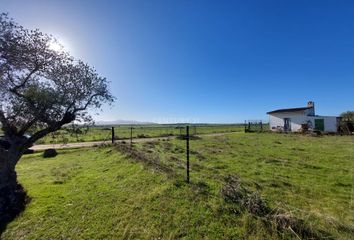 Terreno en  Torremocha, Cáceres Provincia