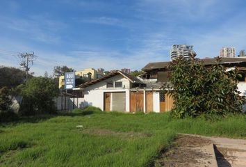 Parcela en  Viña Del Mar, Valparaíso