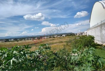 Lote de Terreno en  Hacienda Castillo, Apaseo El Grande