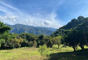 Lote de Terreno en  62526, San Andrés De La Cal, Morelos, Mex