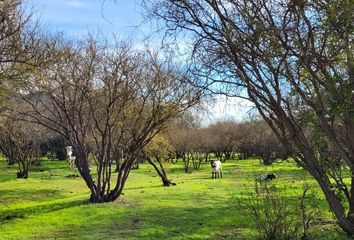 Parcela en  Melipilla, Melipilla