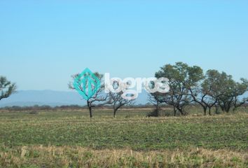 Terrenos en  El Potrero, Rosario De La Frontera, Salta, Arg