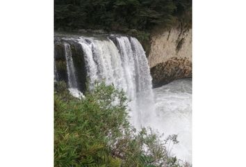 Parcela en  Lago Ranco, De Ranco