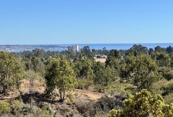 Parcela en  Algarrobo, San Antonio