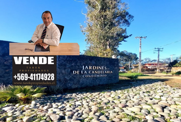 Departamento en  Algarrobo, San Antonio