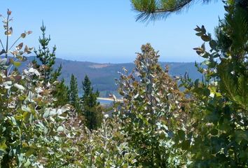 Parcela en  Pichilemu, Cardenal Caro