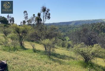 Parcela en  El Tabo, San Antonio