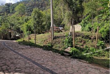 Lote de Terreno en  Calle Loma Del Santito, Casahuates, Taxco, Taxco De Alarcón, Guerrero, 40253, Mex