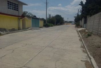 Lote de Terreno en  Tlaxco, Tlaxcala