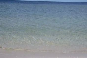 Lote de Terreno en  Calle 25, San Crisanto, Sinanché, Yucatán, 97424, Mex