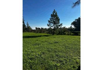 Terrenos en  Villa Elvira, Partido De La Plata