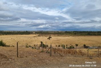 Parcela en  San Nicolás, Ñuble (región)