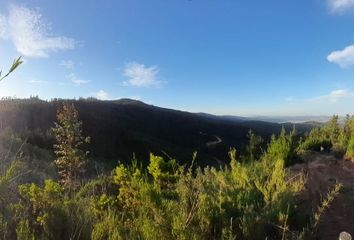 Parcela en  Vichuquén, Curicó