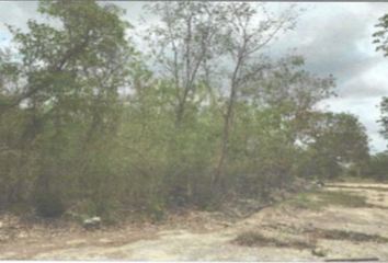 Lote de Terreno en  Calle 84, Progreso, Yucatán, 97320, Mex