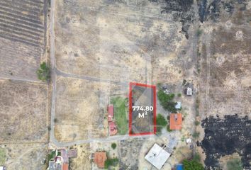 Lote de Terreno en  Villa Corona, Jalisco