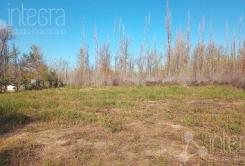 Terrenos en  General Roca, Río Negro