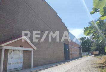 Local comercial en  La Cruz, Celaya