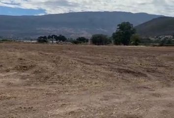 Lote de Terreno en  San Miguel Cuyutlán, Tlajomulco De Zúñiga