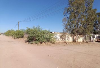 Lote de Terreno en  Manuel López Dávila, Jiménez, Chihuahua