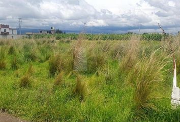 Lote de Terreno en  San Miguel, Metepec