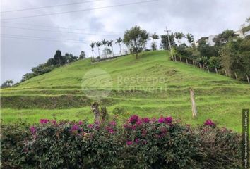 Lote de Terreno en  La Enea, Manizales