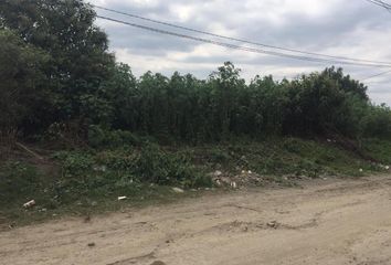 Lote de Terreno en  Calle Pirul, La Conchita Zapotitlán, Tláhuac, Ciudad De México, 13363, Mex