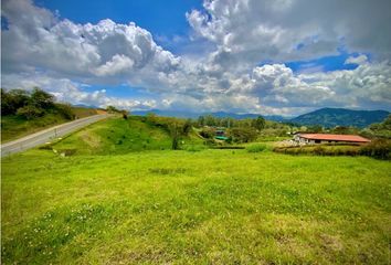 Lote de Terreno en  La Ceja, Antioquia