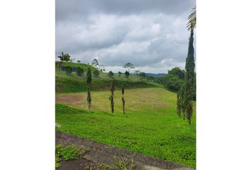 Lote de Terreno en  Centro, Pereira