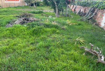 Terreno en  Banyeres Del Penedes, Tarragona Provincia