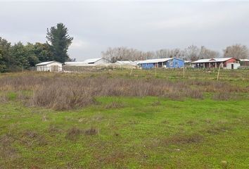 Parcela en  Maule, Talca