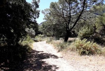 Terreno en  Alhaurin De La Torre, Málaga Provincia