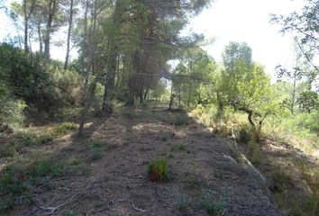 Terreno en  Alcalalí, Alicante Provincia