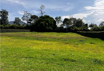 Lote de Terreno en  El Carmen De Viboral, Antioquia