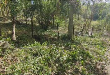 Lote de Terreno en  Bacalar, Bacalar, Bacalar, Quintana Roo