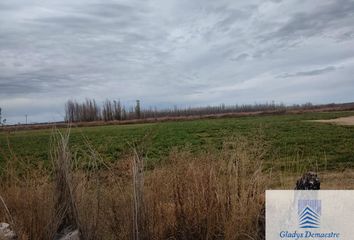 Terrenos en  Ruta Provincial 76, Luis Beltrán, Avellaneda, Río Negro, Arg