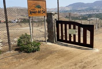 Terreno en  San Vicente De Cañete, Cañete