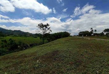 Lote de Terreno en  Cerritos, Pereira