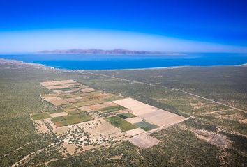 Lote de Terreno en  El Sargento, La Paz