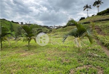 Lote de Terreno en  Palestina, Caldas