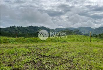 Lote de Terreno en  La Trinidad, Manizales