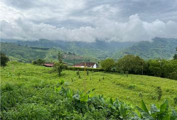 Lote de Terreno en  La Trinidad, Manizales