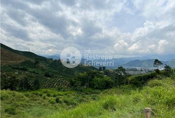 Lote de Terreno en  Palestina, Caldas