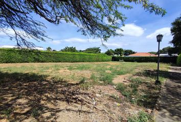 Lote de Terreno en  El Centro, Cúcuta