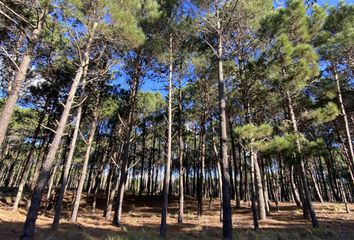 Terrenos en  Buenos Aires Costa Atlántica