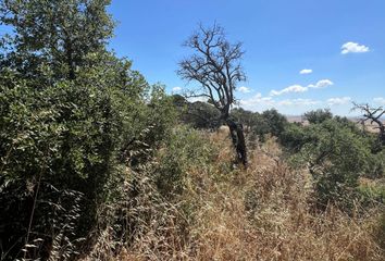 Terreno en  Sierra De Fuentes, Cáceres Provincia