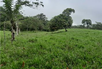 Terreno Comercial en  Dureno, Lago Agrio