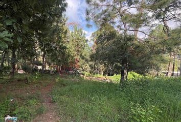 Lote de Terreno en  Avándaro, Valle De Bravo