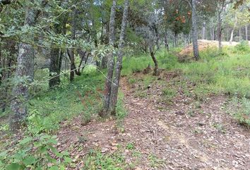 Lote de Terreno en  Mineral Del Chico, Hidalgo