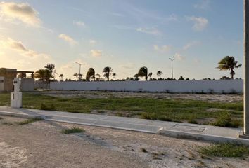 Lote de Terreno en  Chicxulub Puerto, Progreso, Z - Progreso, Yucatán